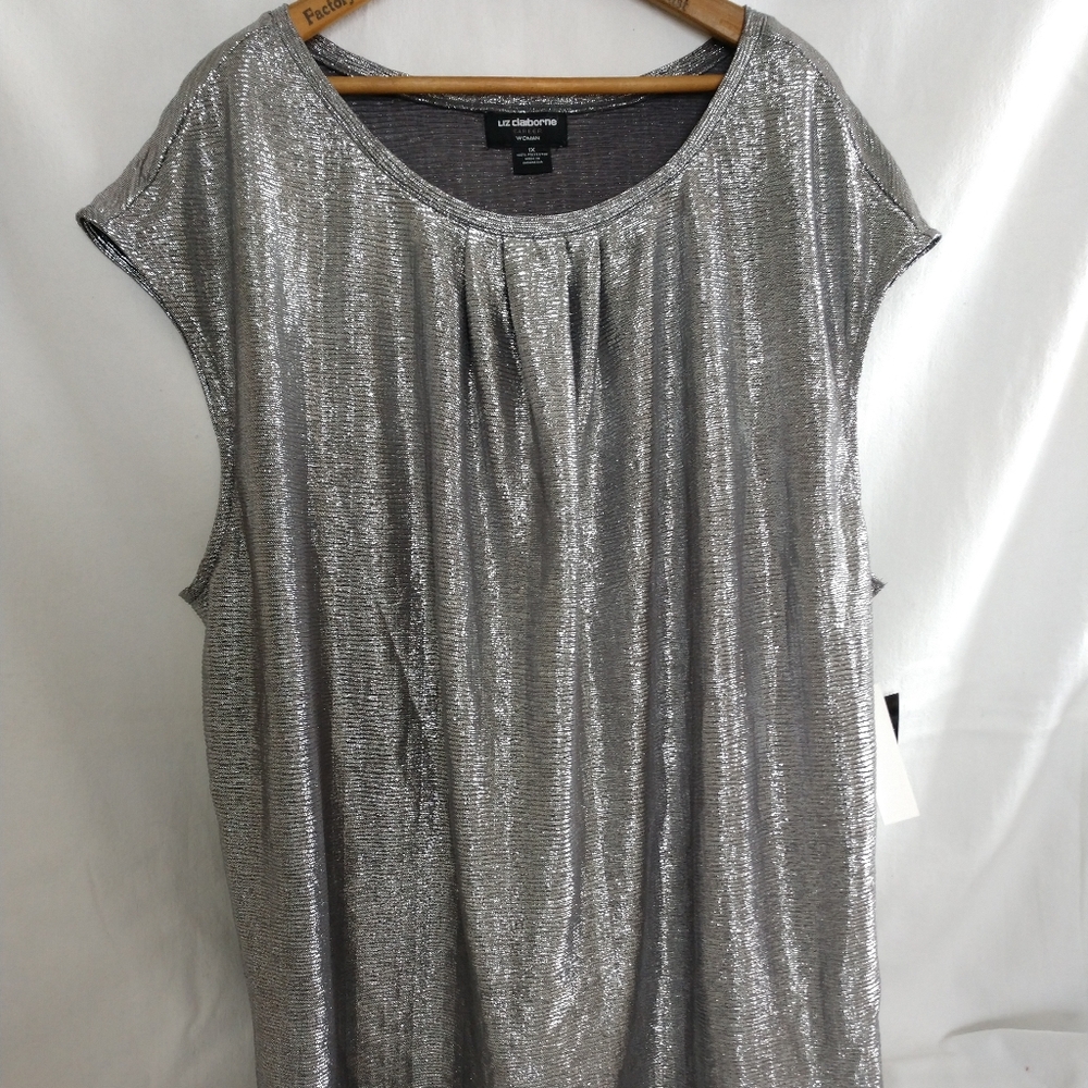 Shimmering Silver Top